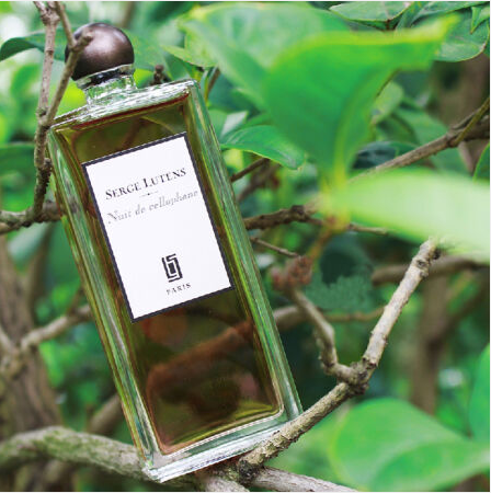 原装正品serge lutens芦丹氏女士香水 八月夜桂花50ml